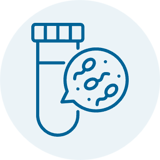 Histology and Cytopathology Histology and Cytopathology