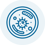 Microbiology Microbiology